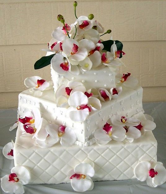 Cake in Fort Lauderdale - Christine's Specialty Cakes