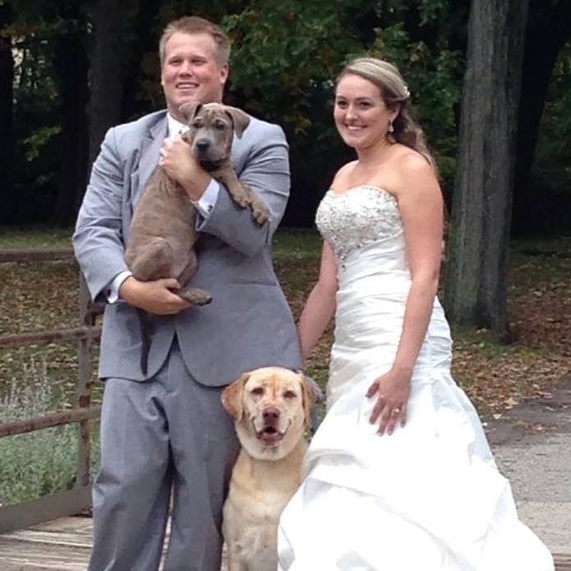 Officiants in Harrison Township - Boattownweddings