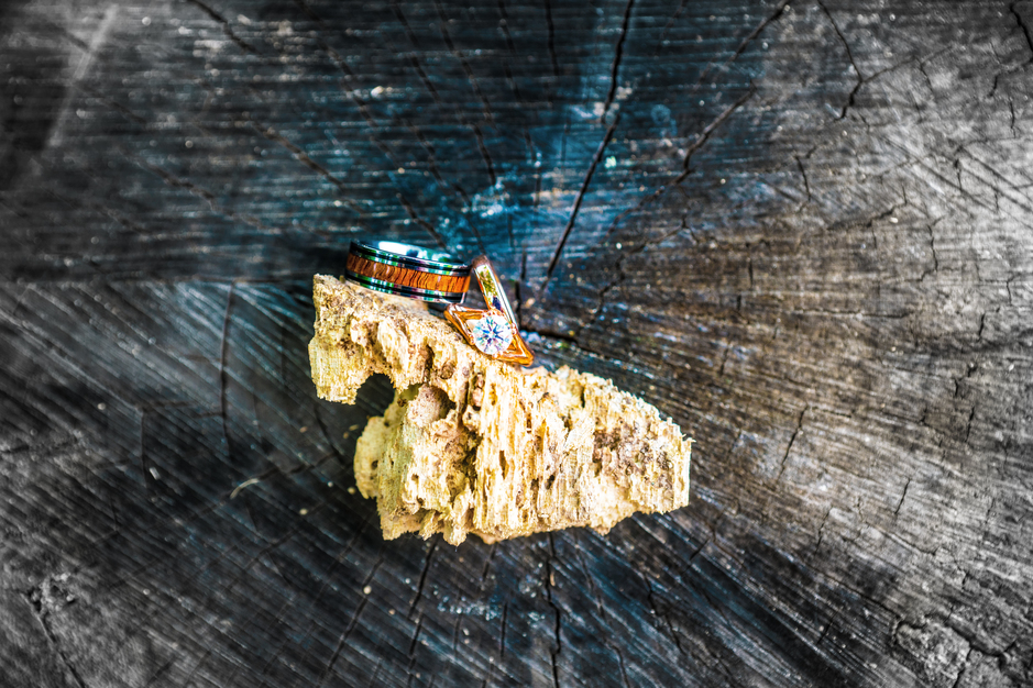 Photographers in Washington - IMAGINATIVE PHOTOGRAPHY INC.