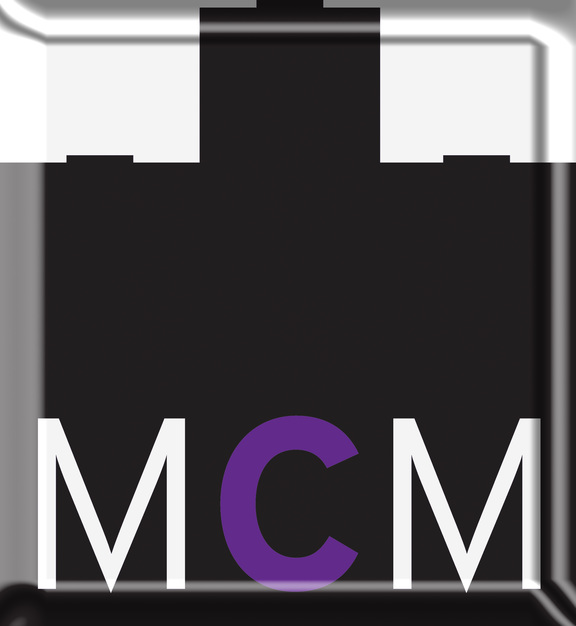 Musicians in Saint Clair Shores - Motor City Mix Band