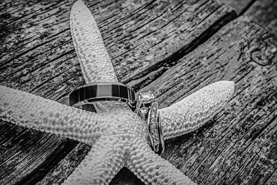 Photographers in Windham - Akelis Studios Photography