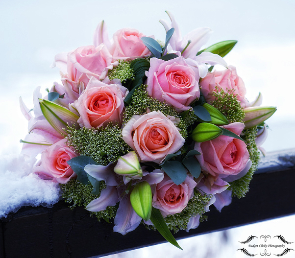 Photographers in West Bend - BC Custom Photography