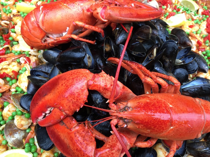 Caterers in Medford - Sensational Paella Catering Company