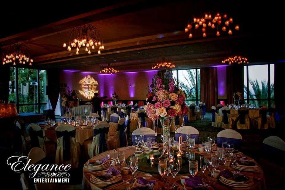 DJ in Corona - Elegance Entertainment