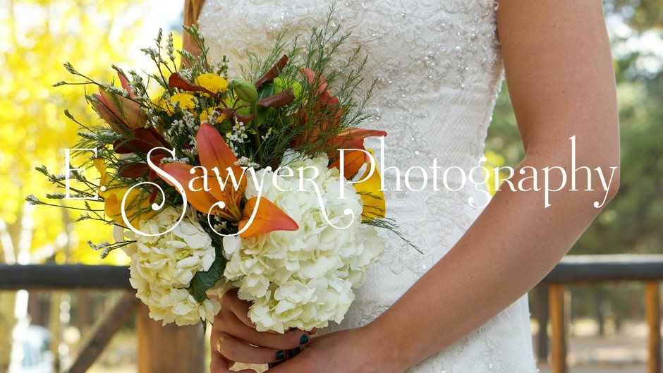 Photographers in Lafayette - E. Sawyer Photography