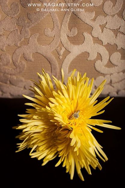 Planner in Chicago - Malenia Events & Design