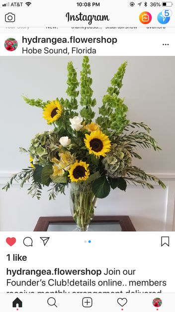 Florists in Hobe Sound - Hydrangea Flowers & Coffee
