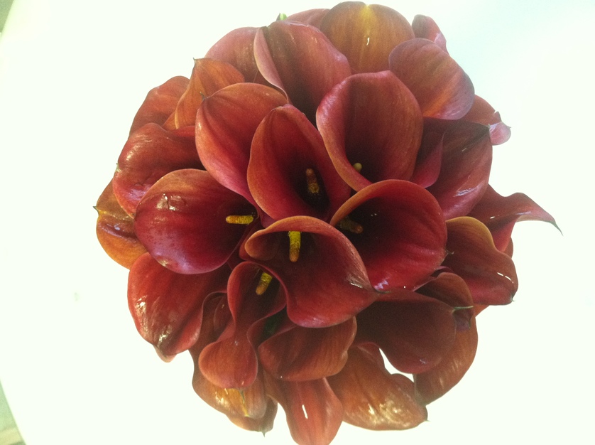 Bokay Flowers Wedding best wedding florists in port chester mr bokay weddings Bokay Flowers Wedding best wedding florists in port chester mr bokay weddings