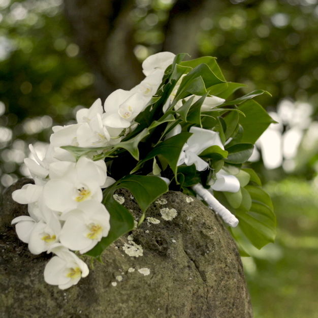Videographers in Honolulu - Hawaii Pono Weddings