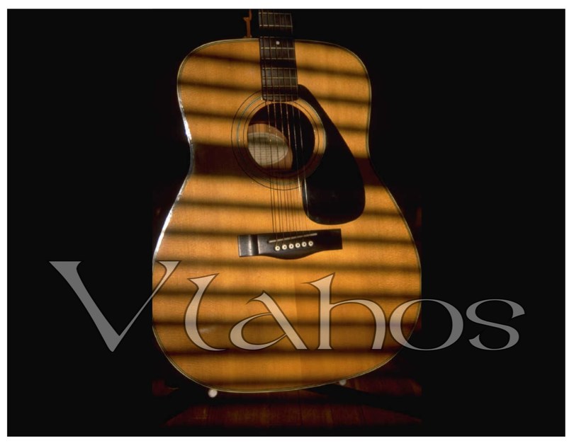Musicians in Bolivar - Vlahos Music