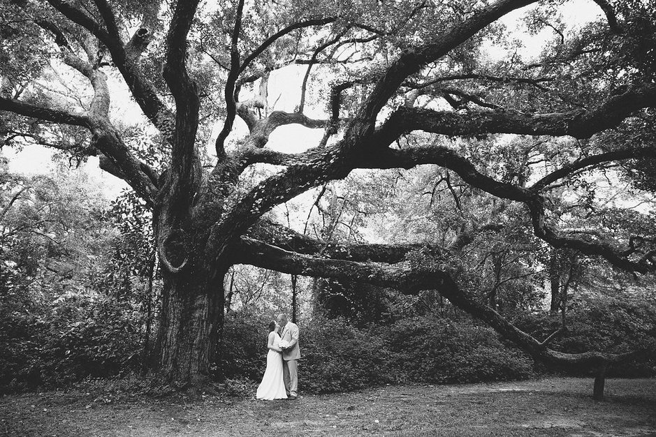 Planner in North Myrtle Beach - Blue Palm Events
