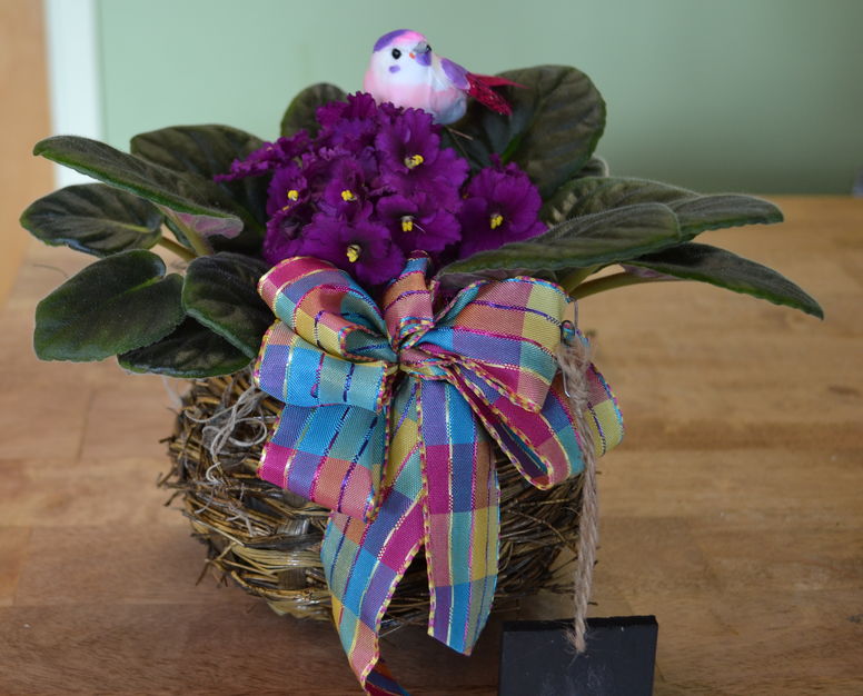 Florists in Burlington - The Bloomin' Dragonfly