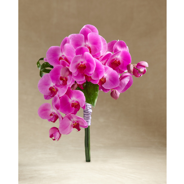 Florists in Fresno - Rainbow Flowers