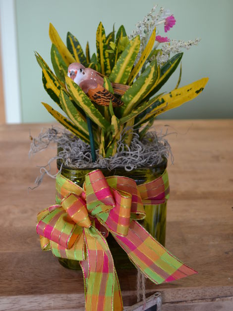 Florists in Burlington - The Bloomin' Dragonfly