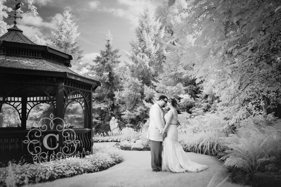 Photographers in Saint Paul - Carina Photographics