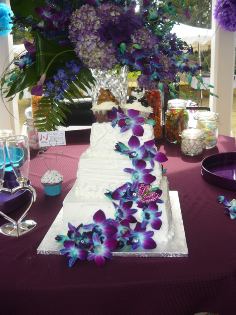Reception Location in Monroe - McDaniel-Tichenor House