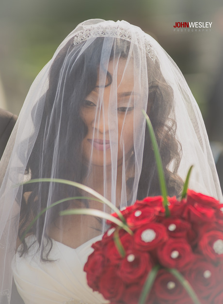 Photographers in Bristol - John Wesley Photography, LLC