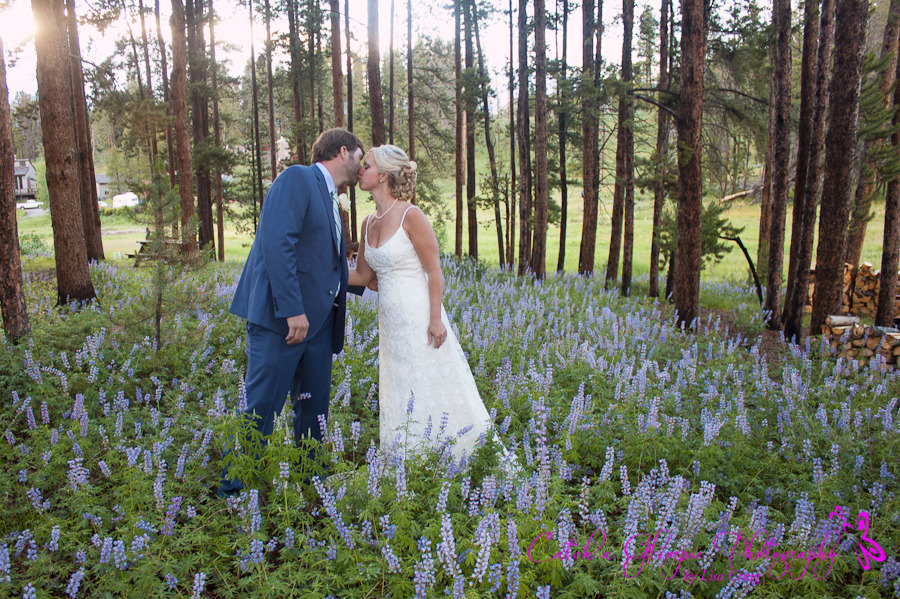 Photographers in Littleton - Catch a Glimpse Photography by Lisa Craig