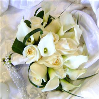 Florists in Clearwater - Sweats Exotic Flowers, Inc.