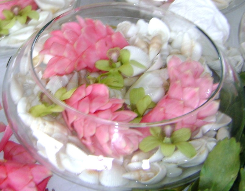 Florists in Clearwater - Sweats Exotic Flowers, Inc.