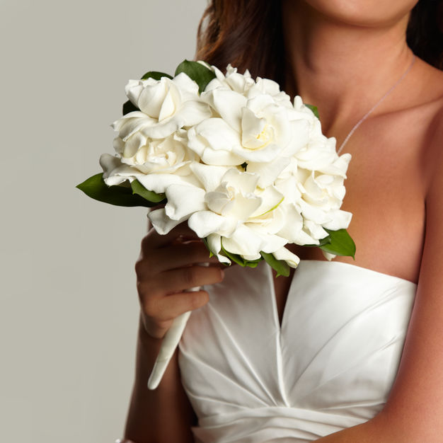 Florists in Simi Valley - Blue Violet Flowers