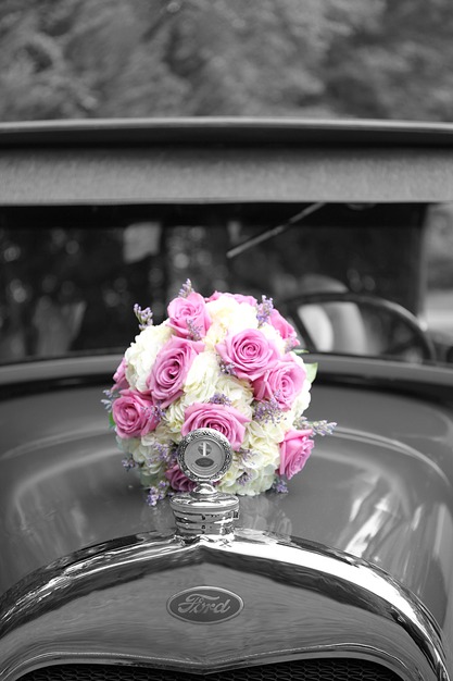 Photographers in Wilmington - Captures From The Heart Photography
