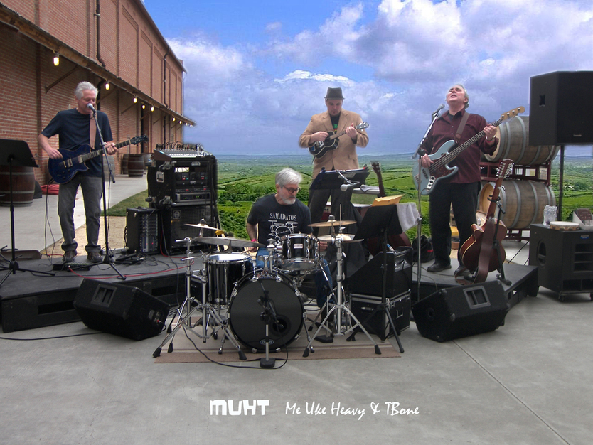 Musicians in Orangevale - Cast Musical Band