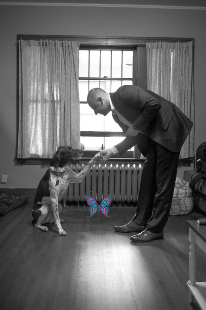 Photographers in Goodells - Bel Amour Photography LLC