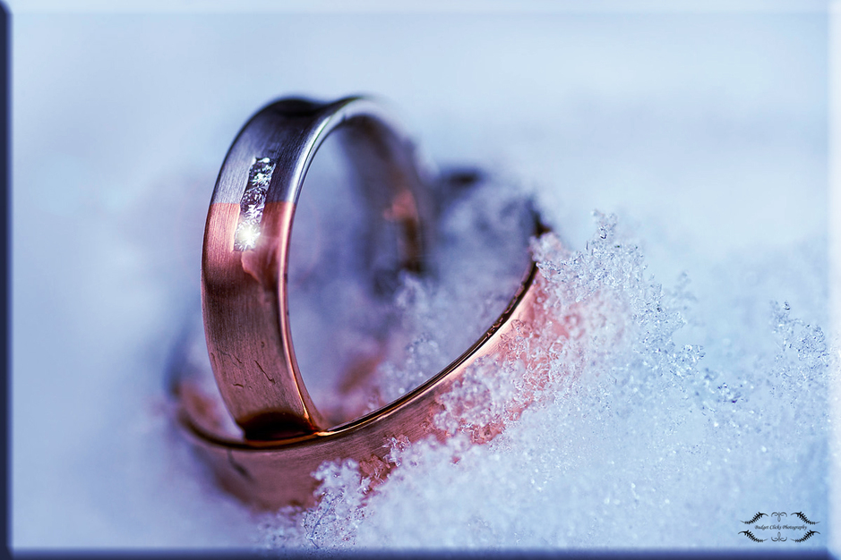 Photographers in West Bend - BC Custom Photography