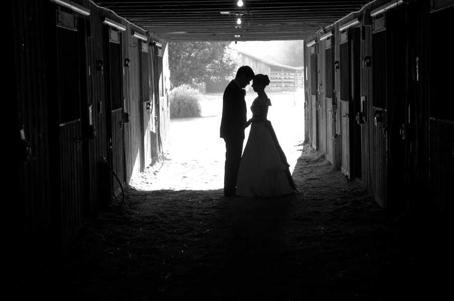 Photographers in Boone - Tommy White Photography