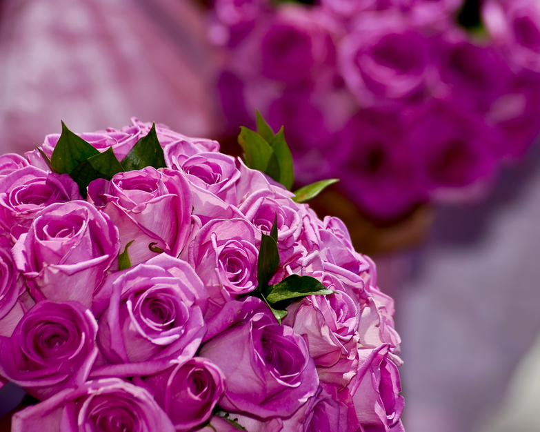 Planner in Redwood City - Fiori di Miele