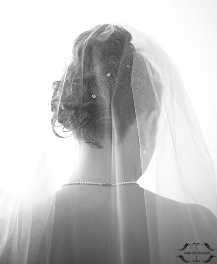 Photographers in West Bend - BC Custom Photography