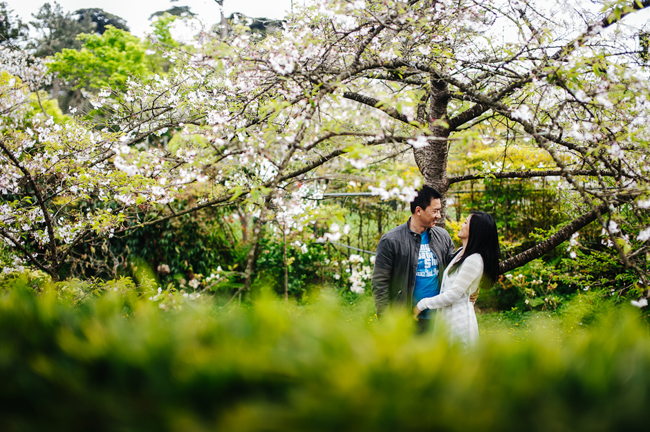 Photographers in San Francisco - Wilson Lee Weddings