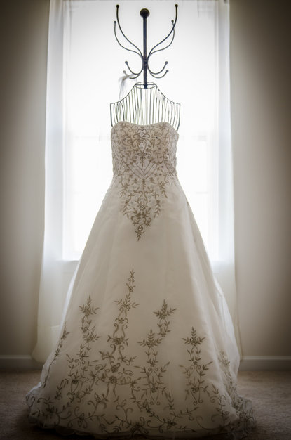 Photographers in Reston - DESI Studios, LLC