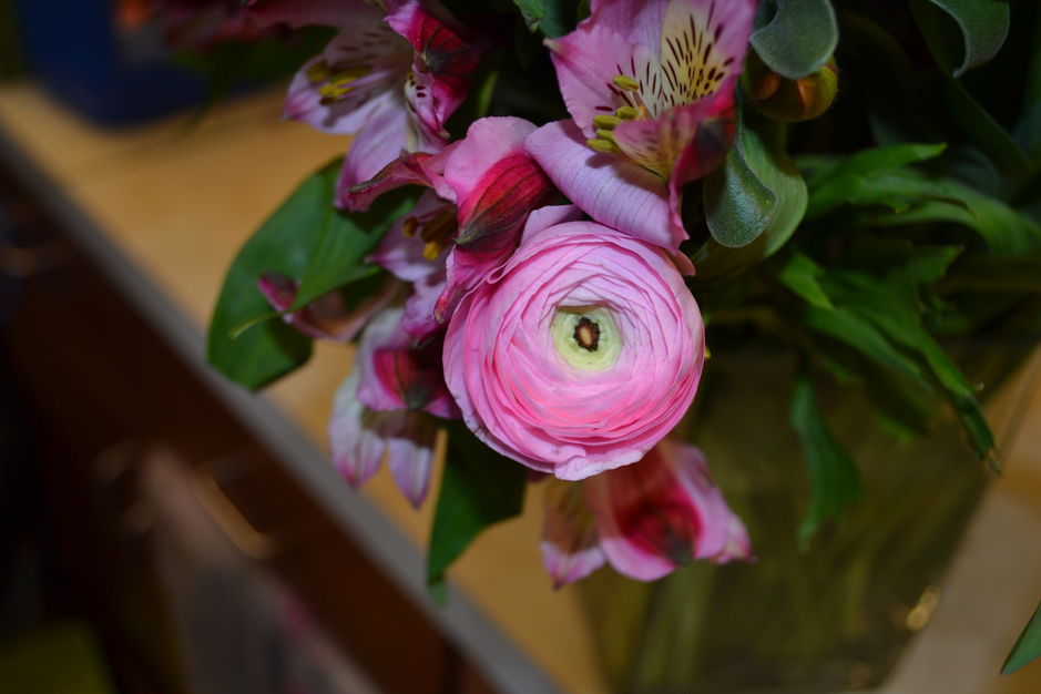 Florists in Burlington - The Bloomin' Dragonfly