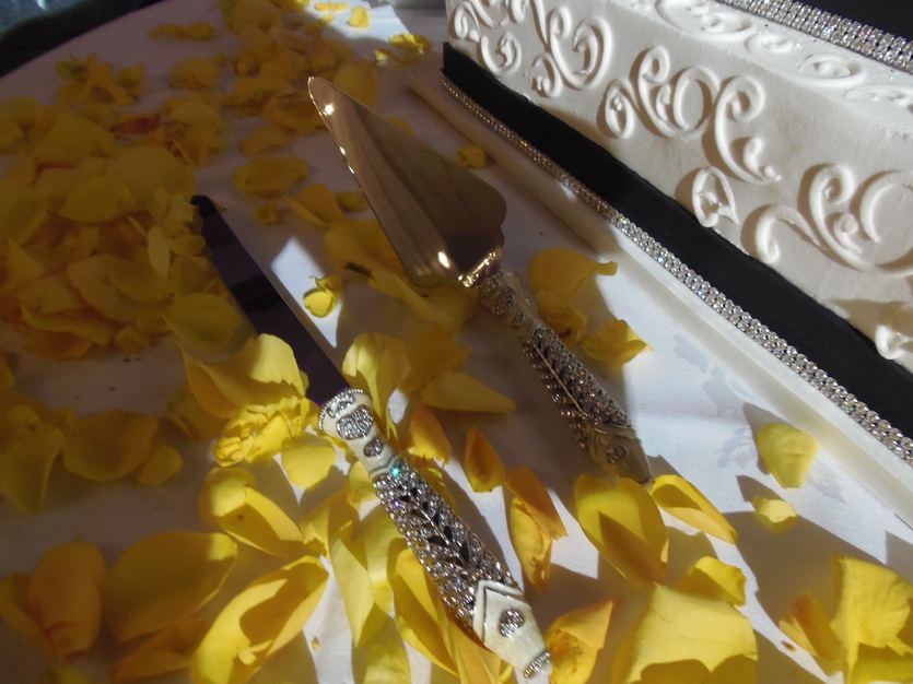 Planner in Fort Lauderdale - Elite Events Management, Inc
