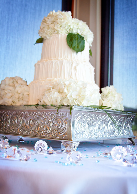 Photographers in Clarksville - Lisa Authier Photography