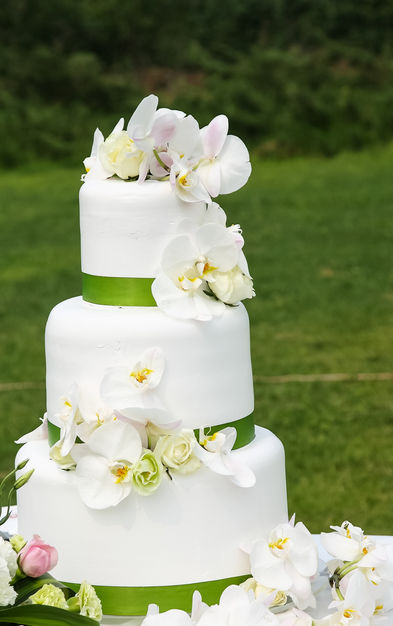 Cake in Hanover - Ellen Moore Cakery