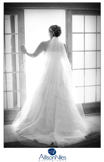 Photographers in North Billerica - Allison Niles Photography