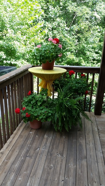 Reception Location in Clarkesville - Sautee Mountain Retreat