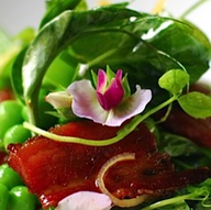 Planner in New York - Rex Duvall Caterers