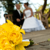 Photographers in Cincinnati - Le Roux Visual