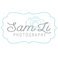 Photographers in Houston - Sam Li Photography