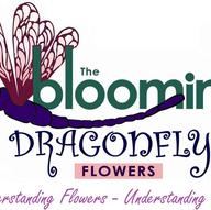 Florists in Burlington - The Bloomin' Dragonfly