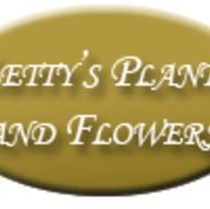 Florists in Lynwood - Lety's Floral Design