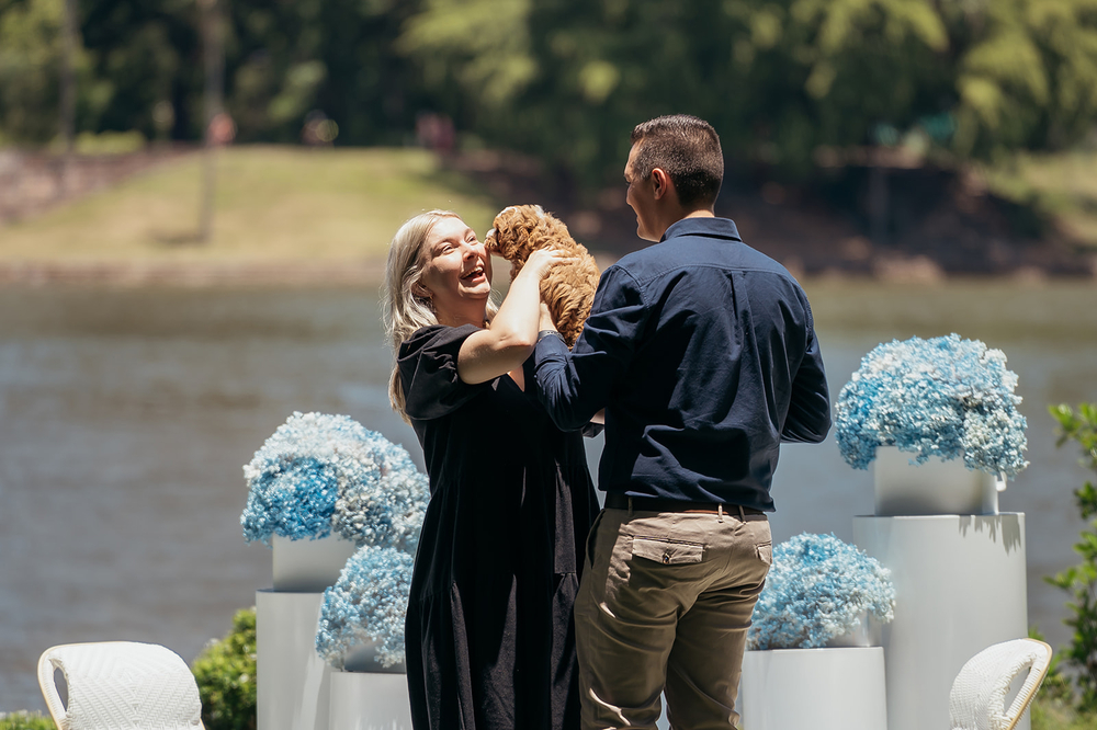 A Surprise Puppy And Proposal