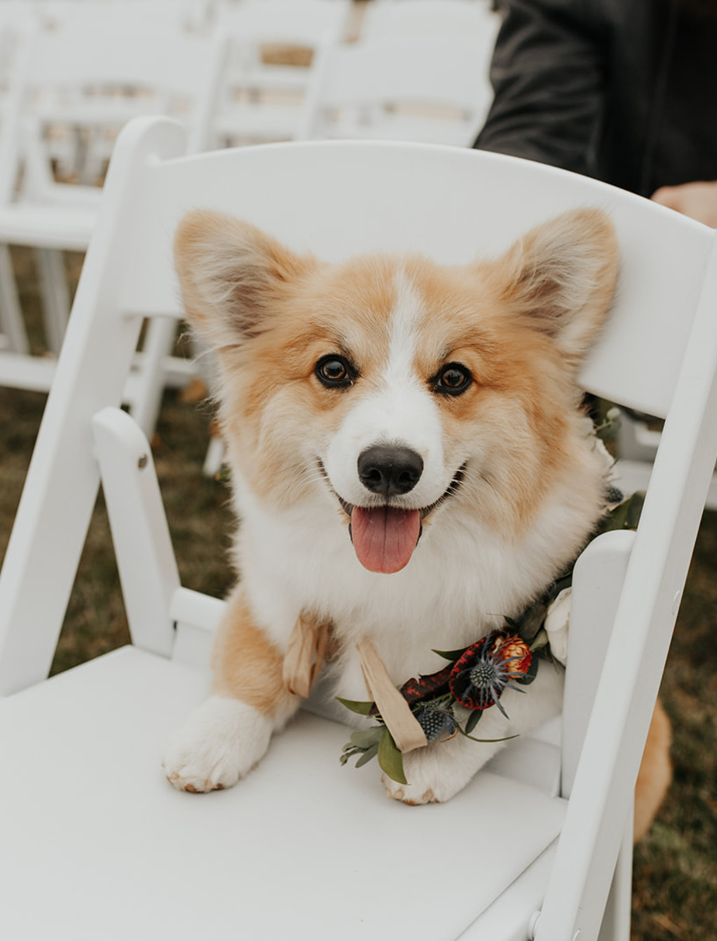 Autumn Wedding At Starlit Point