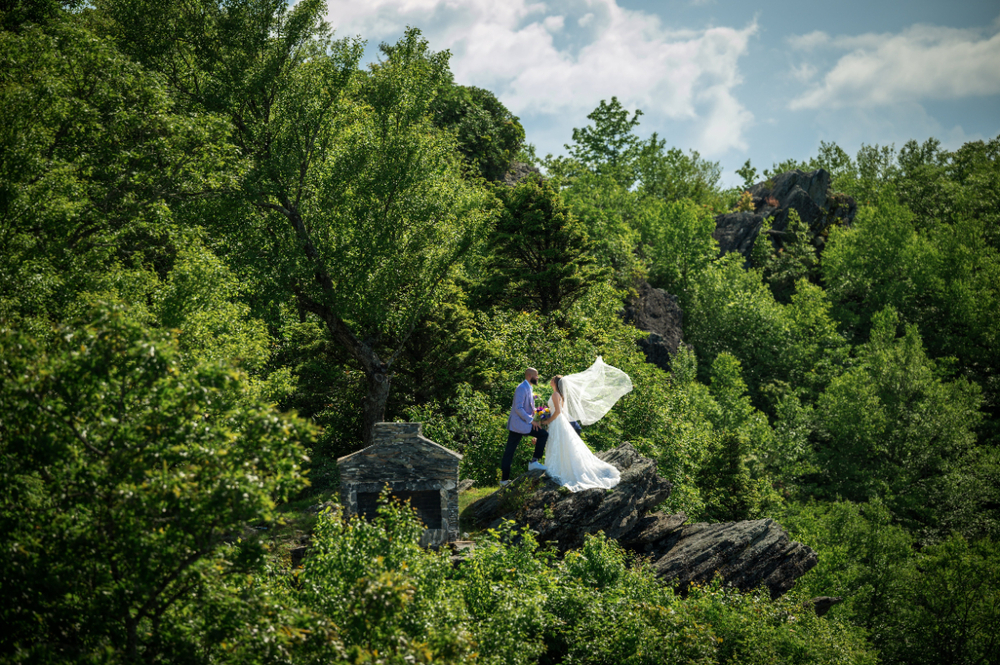 What Creates A Calm And Enjoyable Wedding Environment