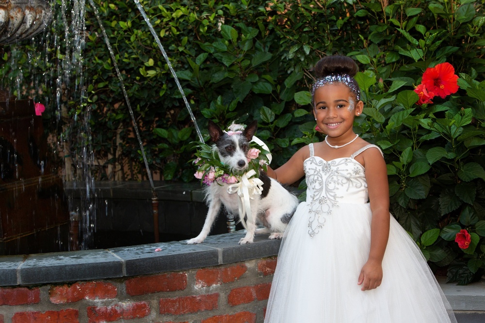 Incorporating Pets At Your Wedding