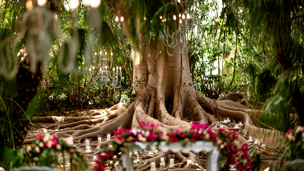 Fairytale Wedding In A Sicilian Castle